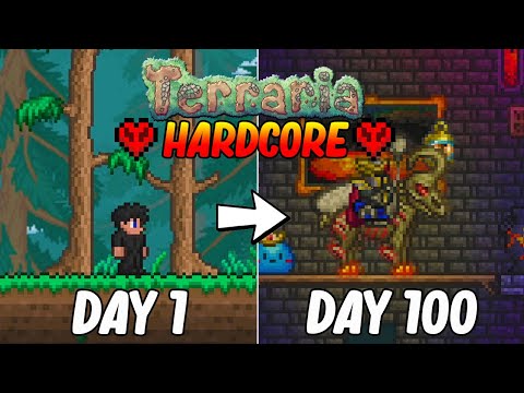 I Survived 100 Days In HARDCORE Terraria...