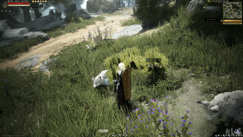 Black Desert Online