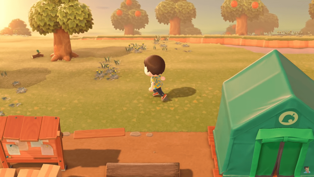 Animal Crossing - 25 Best Multiplayer Games