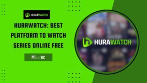 Hurawatch: Best Platform to Watch Series Online Free